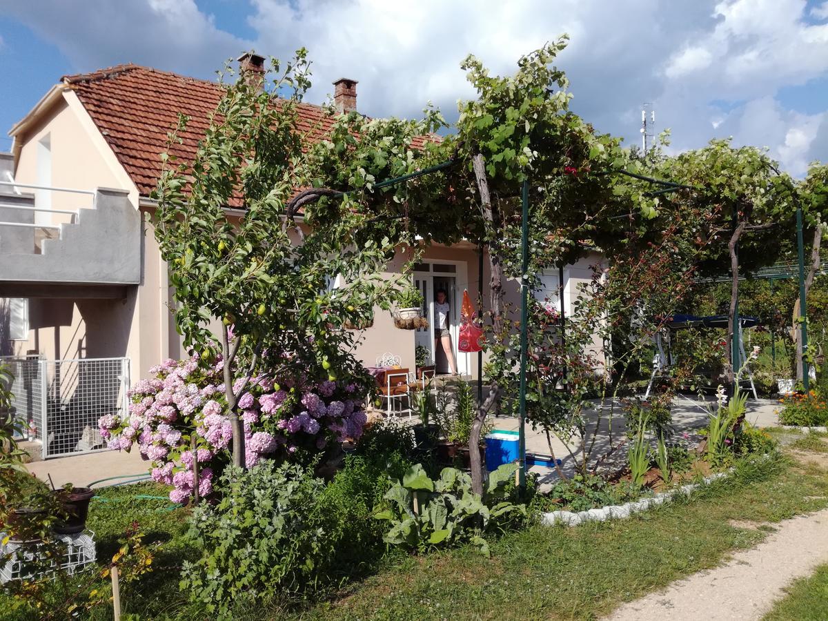 Frile Apartments Нікшич Екстер'єр фото